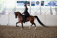 AHANC_Show18_ThursPM_1051