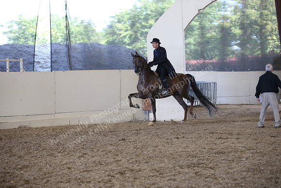 AHANC_Show18_ThursPM_1054