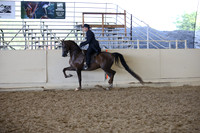 AHANC_Show18_ThursPM_1055