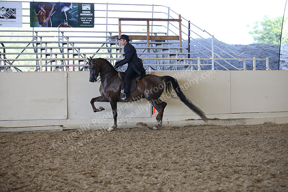 AHANC_Show18_ThursPM_1055