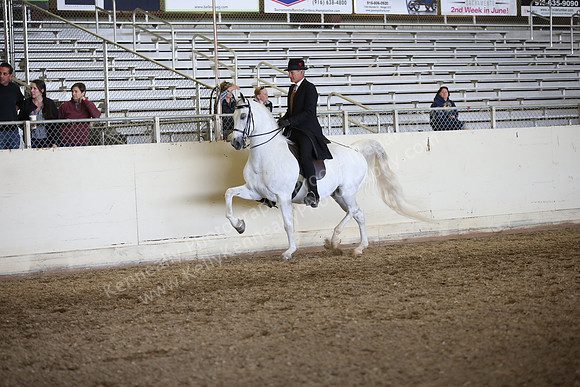 AHANC_Show18_ThursPM_1056