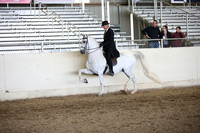 AHANC_Show18_ThursPM_1057