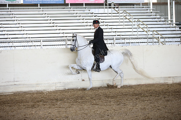 AHANC_Show18_ThursPM_1058