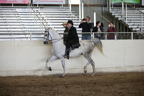 AHANC_Show18_ThursPM_1059