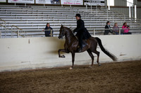 AHANC_Show18_ThursPM_1060