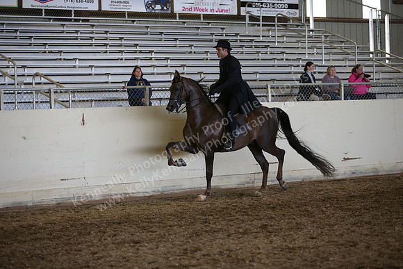 AHANC_Show18_ThursPM_1060