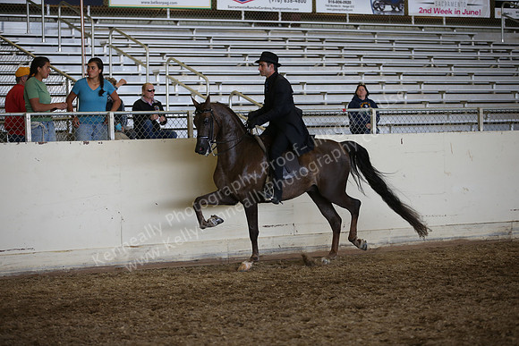 AHANC_Show18_ThursPM_1061