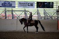 Class 44 Arabian Western Pl  JTR Select