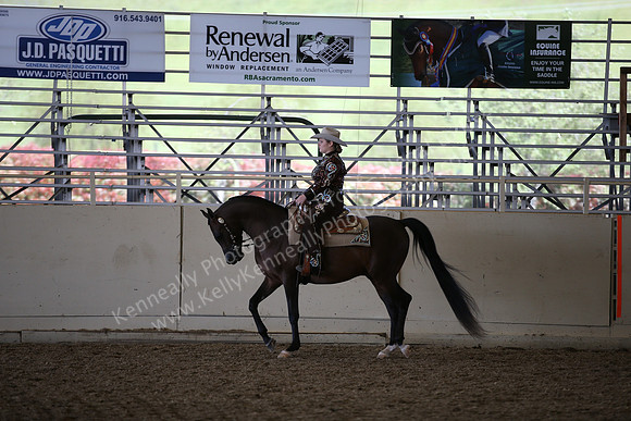 AHANC_Show18_ThursPM_1090