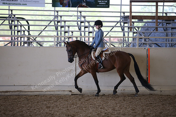 AHANC_Show18_ThursPM_1113