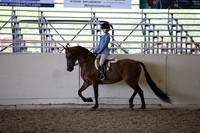AHANC_Show18_ThursPM_1114