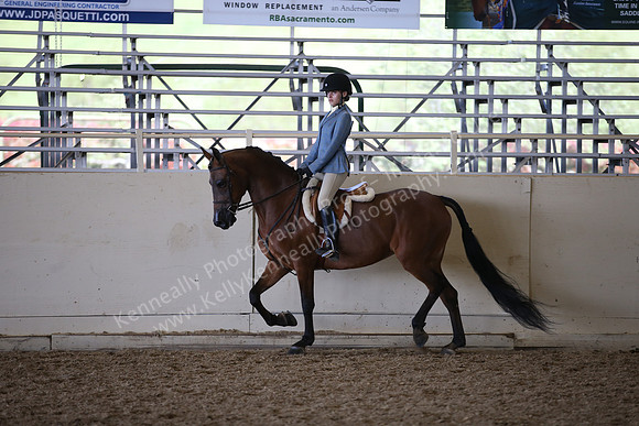 AHANC_Show18_ThursPM_1114