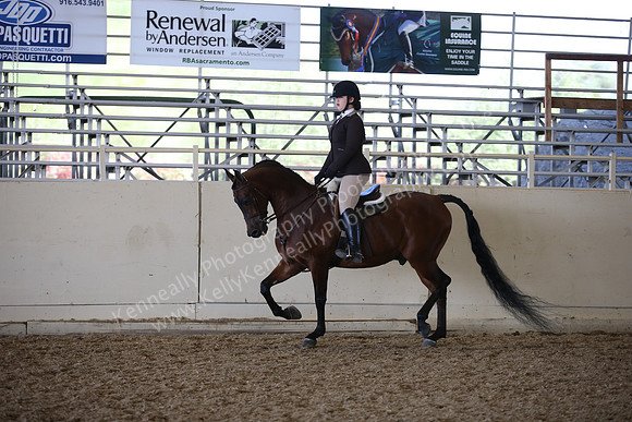 AHANC_Show18_ThursPM_1115
