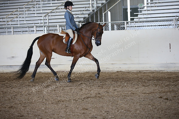 AHANC_Show18_ThursPM_1117