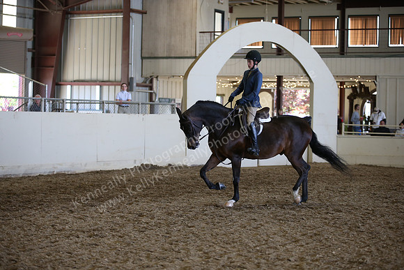 AHANC_Show18_ThursPM_1121