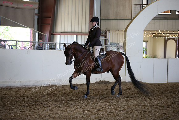 AHANC_Show18_ThursPM_1125