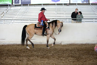 AHANC_Show18_ThursPM_1142