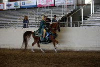 AHANC_Show18_ThursPM_1154
