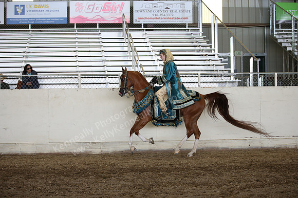 AHANC_Show18_ThursPM_1149