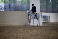 Class 48 Arabian Hunter Pl Open