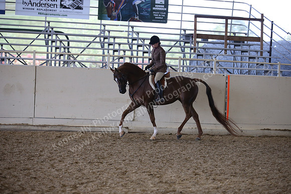 AHANC_Show18_ThursPM_1161