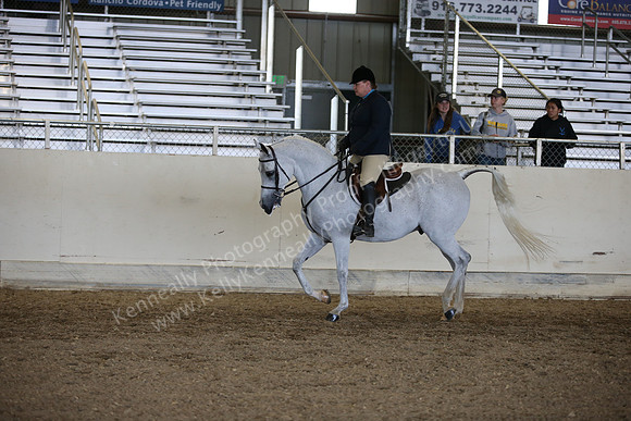 AHANC_Show18_ThursPM_1166