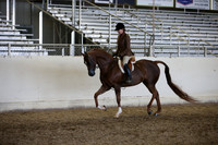 AHANC_Show18_ThursPM_1173
