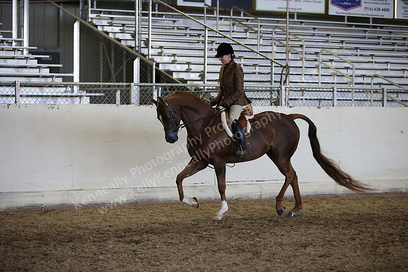 AHANC_Show18_ThursPM_1173