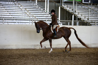 AHANC_Show18_ThursPM_1174