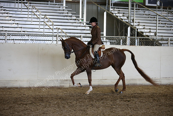 AHANC_Show18_ThursPM_1174