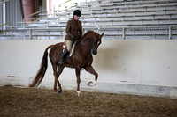 AHANC_Show18_ThursPM_1178