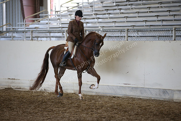 AHANC_Show18_ThursPM_1178