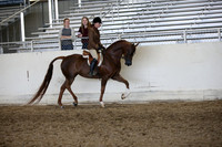 AHANC_Show18_ThursPM_1179