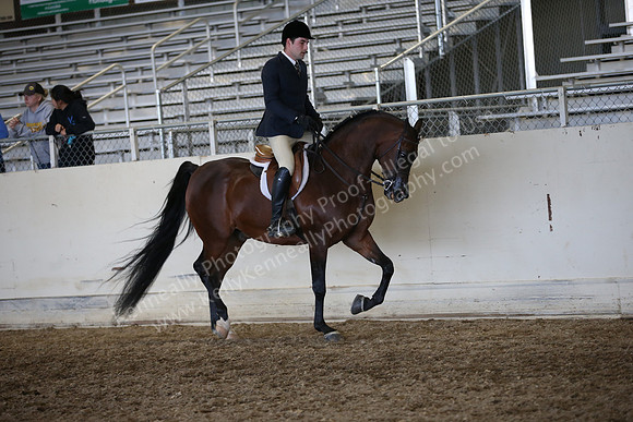 AHANC_Show18_ThursPM_1181