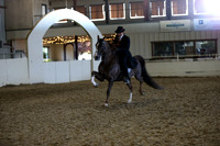 Class 36A HA/AA Park Horse Open