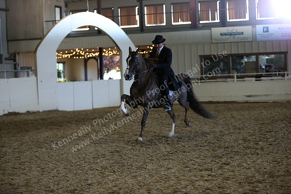 AHANC_Show18_ThursPM_1183