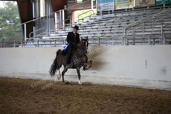 AHANC_Show18_ThursPM_1188
