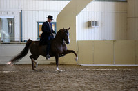 AHANC_Show18_ThursPM_1186