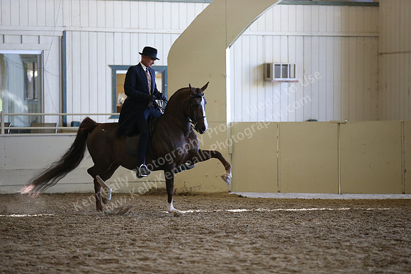 AHANC_Show18_ThursPM_1186