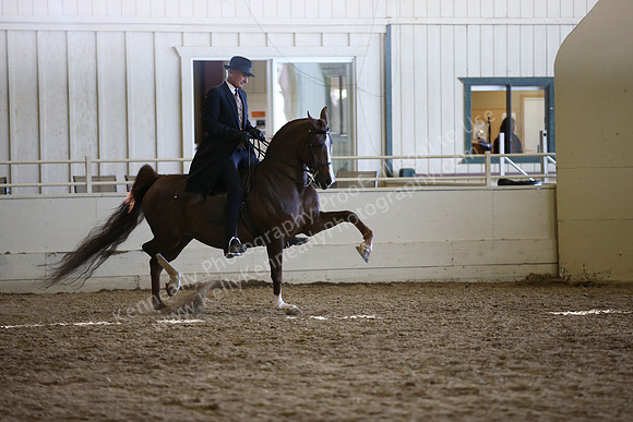 AHANC_Show18_ThursPM_1185