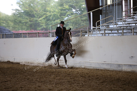AHANC_Show18_ThursPM_1187