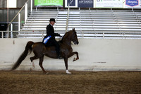 AHANC_Show18_ThursPM_1190