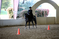 Western Horsemanship