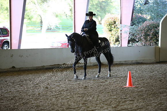 AHANC_Show18_ThursPM_1193