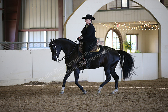 AHANC_Show18_ThursPM_1194