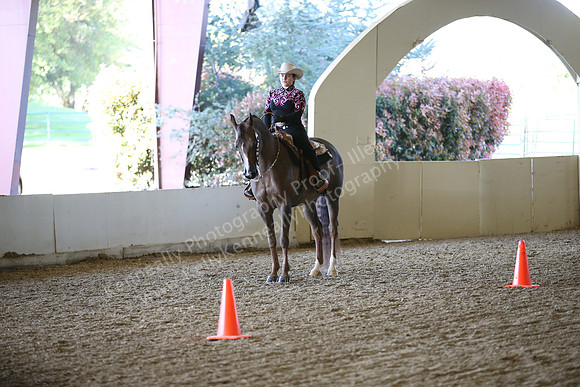AHANC_Show18_ThursPM_1200