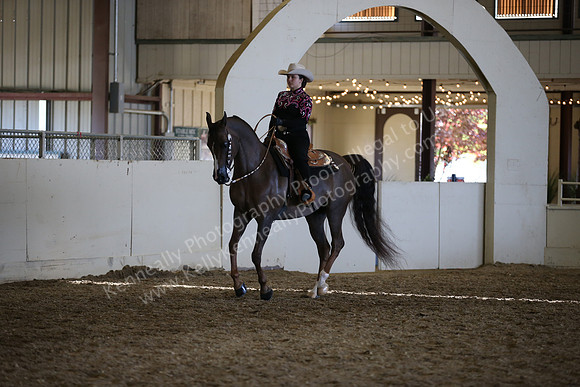 AHANC_Show18_ThursPM_1210