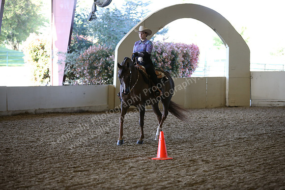 AHANC_Show18_ThursPM_1220