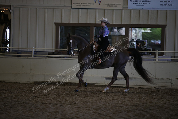 AHANC_Show18_ThursPM_1225