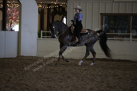 AHANC_Show18_ThursPM_1226